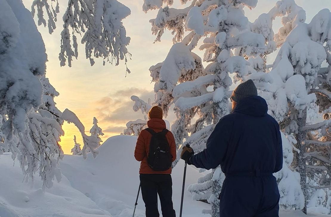 Kaksi lumikenk&auml;ilij&auml;&auml; lumisessa mets&auml;ss&auml;, auringonlasku v&auml;rj&auml;&auml; horisontin keltaiseksi