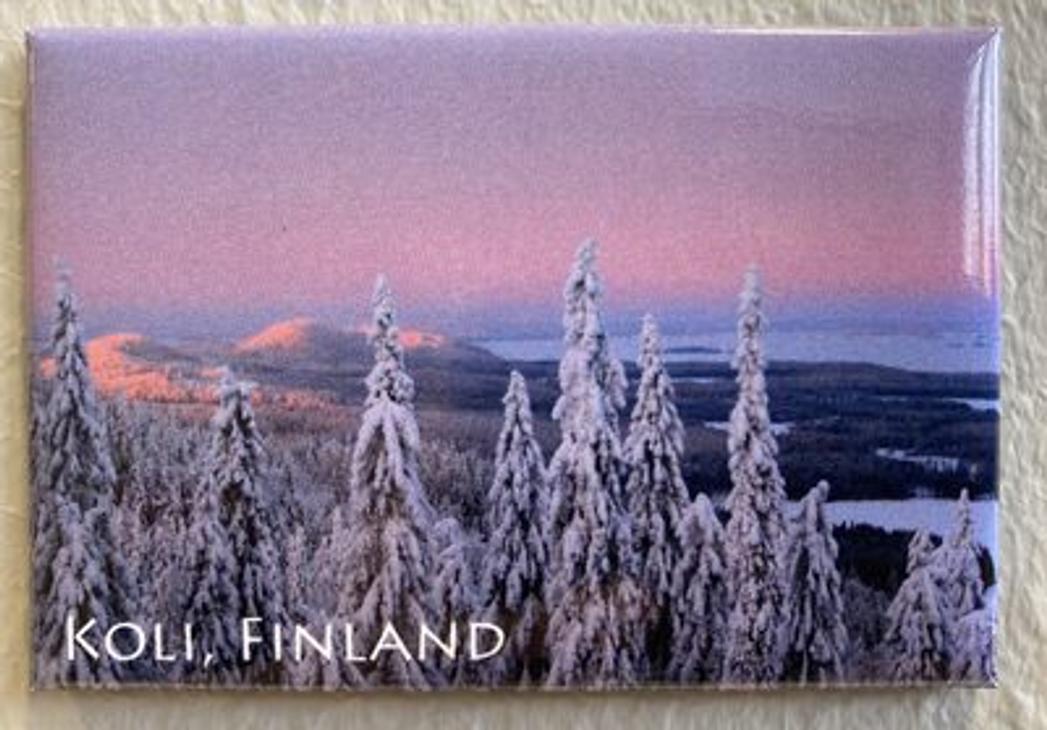 Snow-laden winter landscape in a short, pink mid-winter moment in Koli