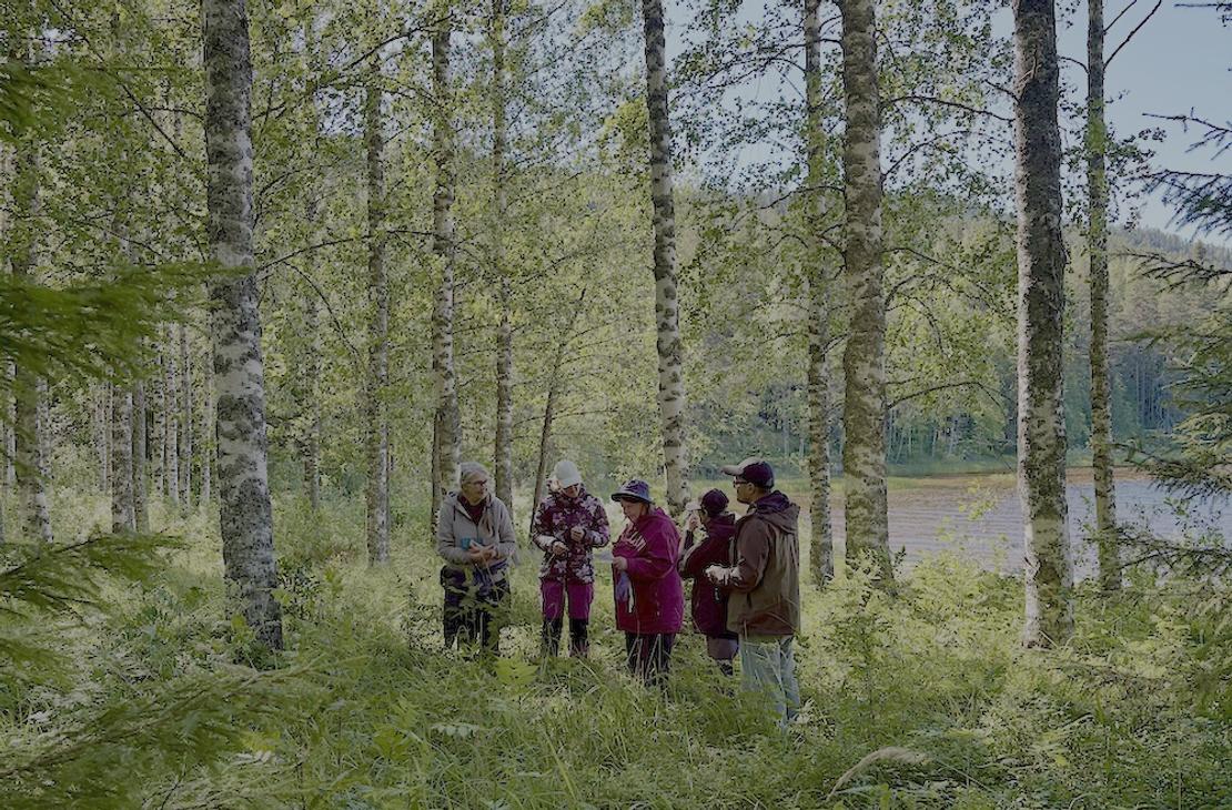Ryhmä pohtimassa tehtävää rehevässä koivikossa