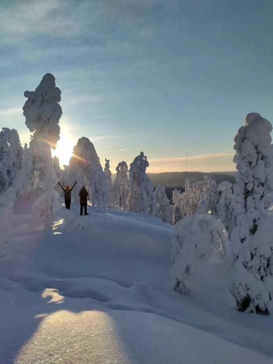 Kaksi lumikenk&auml;ilij&auml;&auml; tykkylumisten kuusten keskell&auml; auringon paisteessa.