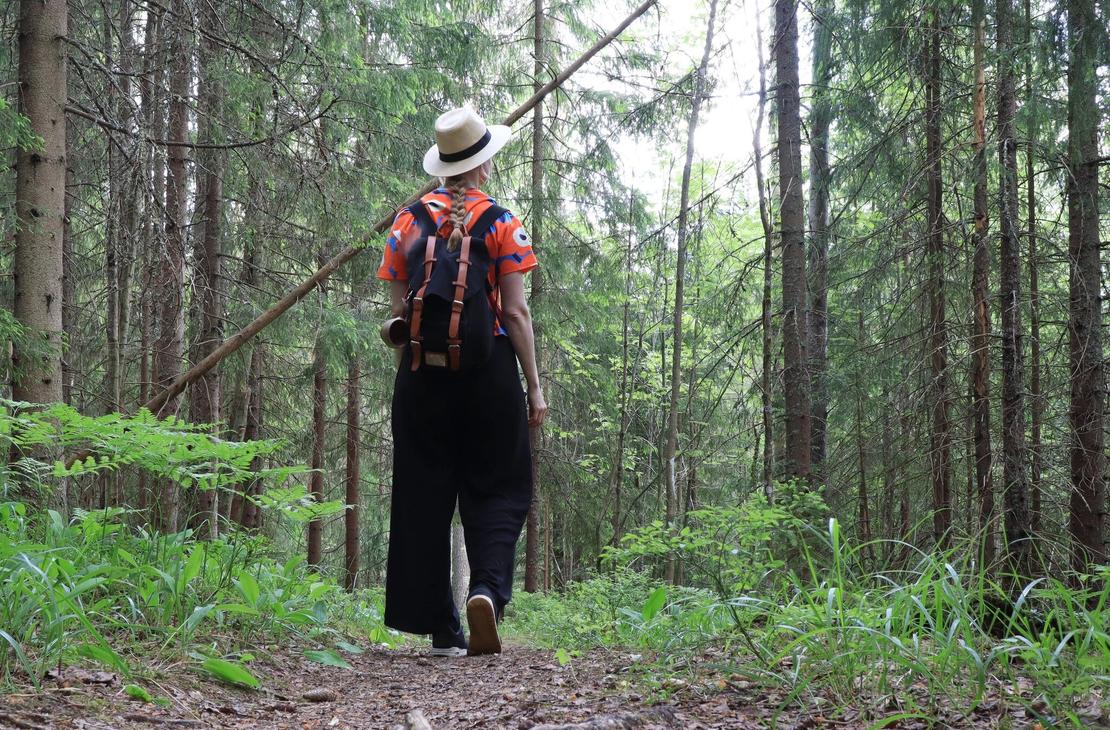 Metsähenkinen retkeilijä on pysähtynyt vanhaan kuusikkoon.