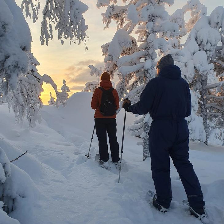 Kaksi lumikenk&auml;ilij&auml;&auml; lumisessa mets&auml;ss&auml;, auringonlasku v&auml;rj&auml;&auml; horisontin keltaiseksi