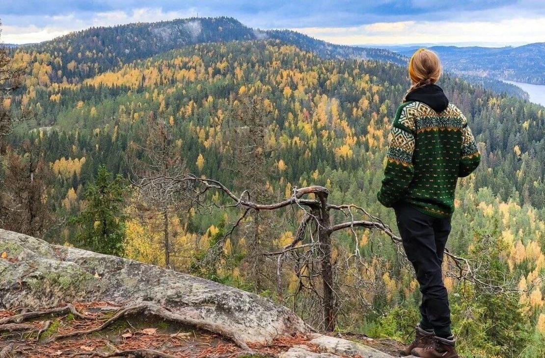 Vihreään villapaitaan pukeutunut retkeilijä katsoo vaarojen yli kohti Ukko-Kolia