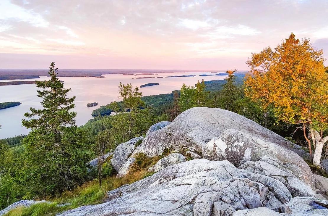 Herkk&auml; auringonnousu Kolin kallion ja keltaiseen ruskaan pukeutuneen koivun takana.