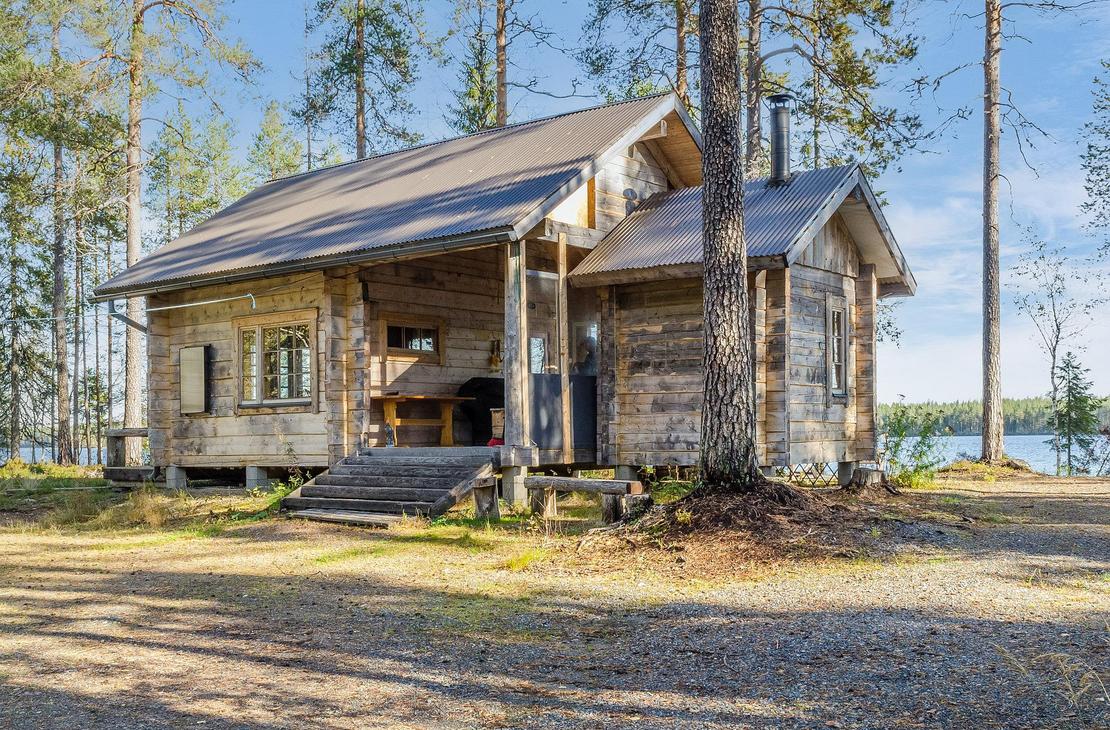 Hirsim&ouml;kki ulkoa m&auml;ntyjen katveessa aurinkoisena p&auml;iv&auml;n&auml;