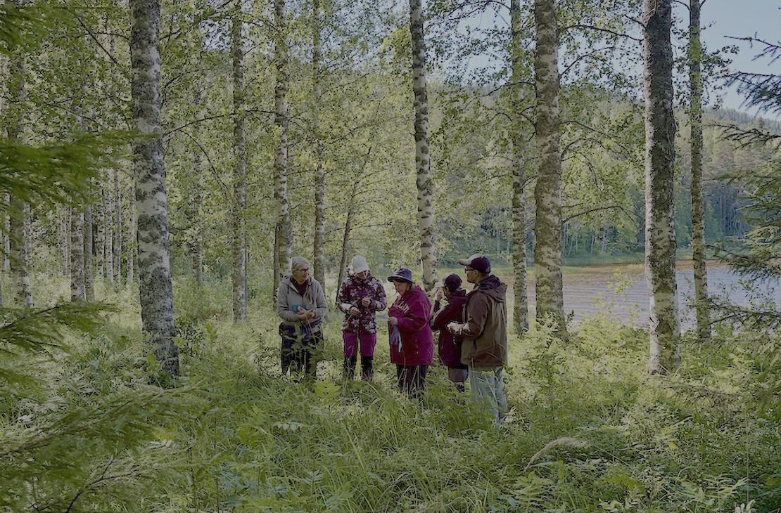 Ryhmä pohtimassa tehtävää rehevässä koivikossa
