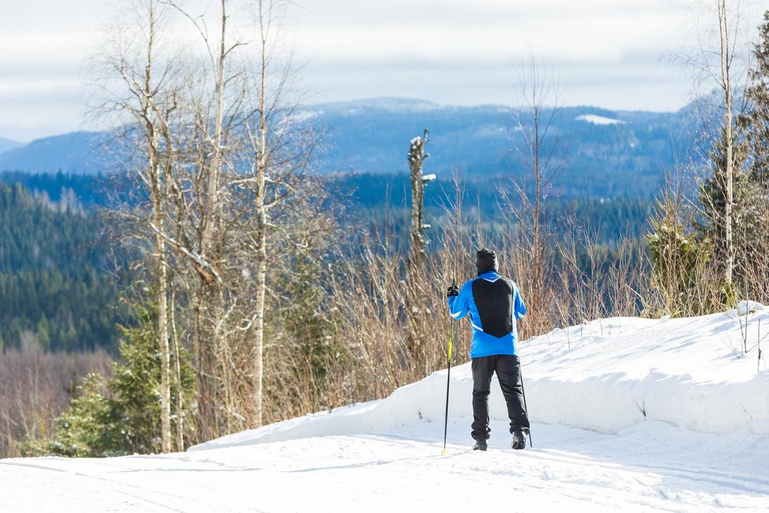 Hiiht&auml;j&auml; vaaramaiseman &auml;&auml;rell&auml;