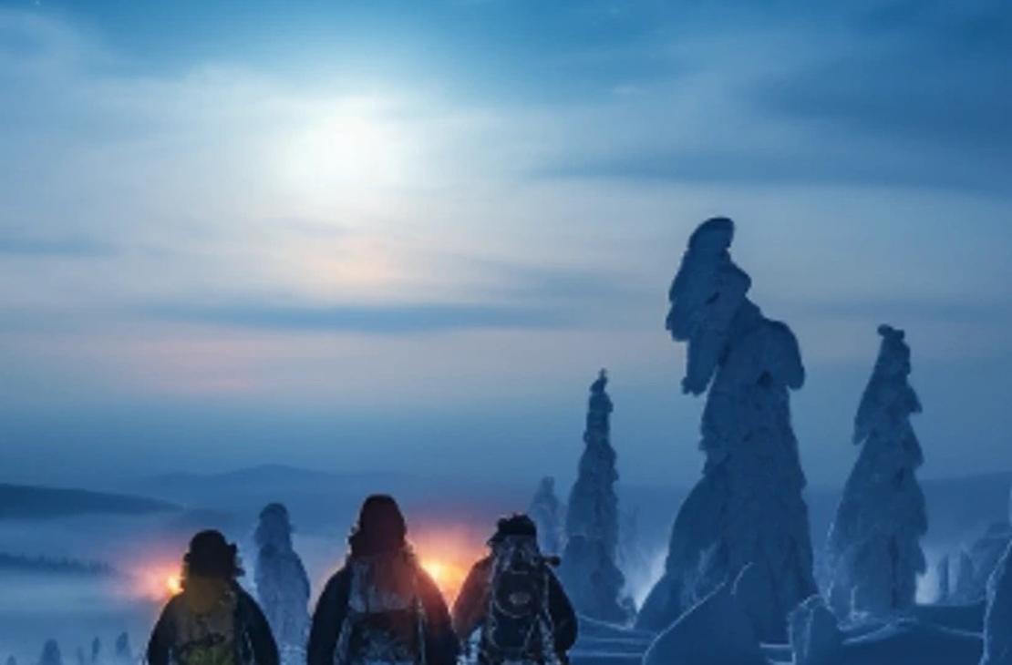 Kolme lumikenk&auml;ilij&auml;&auml; talvisessa mets&auml;ss&auml; kuun valaistessa kulkua. 