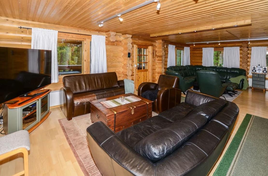 Olohuone, jossa muhkeat tummat nahkasohvat