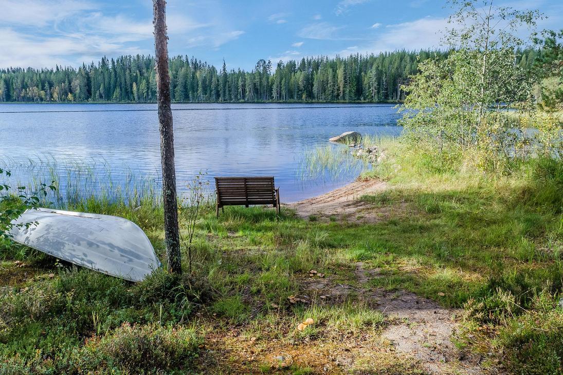 Rantamaisema, jossa heinää, vene ja järvi, taustalla vastarannan metsä