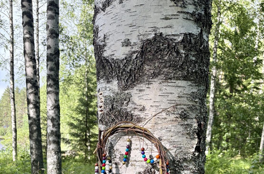 Tietäjän kehä koivikossa eli oksista tehty kehä, jossa helmiä.