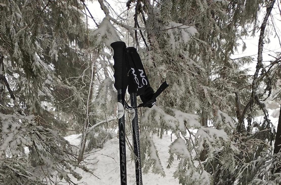 Sauval lumisessa mets&auml;ss&auml;