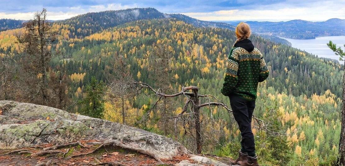 Vihreään villapaitaan pukeutunut retkeilijä katsoo vaarojen yli kohti Ukko-Kolia