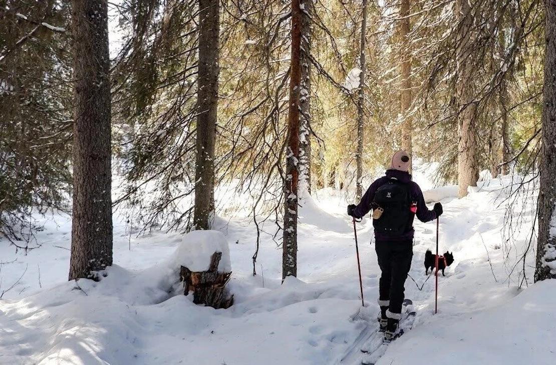 Liukulumikenk&auml;retki
