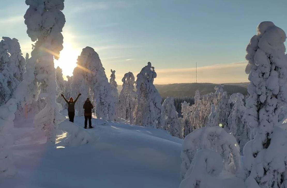 Kaksi lumikenk&auml;ilij&auml;&auml; tykkylumisten kuusten keskell&auml; auringon paisteessa.