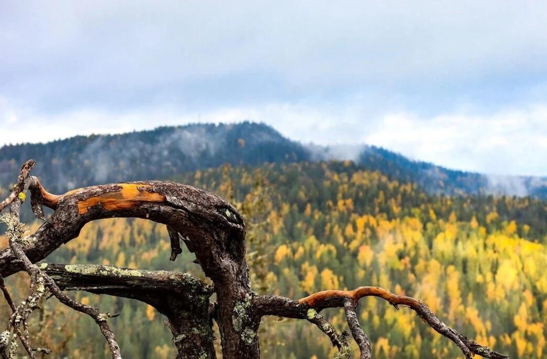 Syksyinen maisema M&auml;kr&auml;vaaralta Kolin huipuille p&auml;in