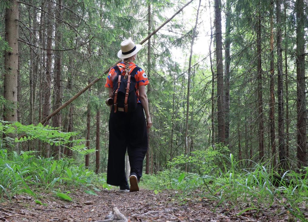 Mets&auml;henkinen retkeilij&auml; on pys&auml;htynyt vanhaan kuusikkoon. 