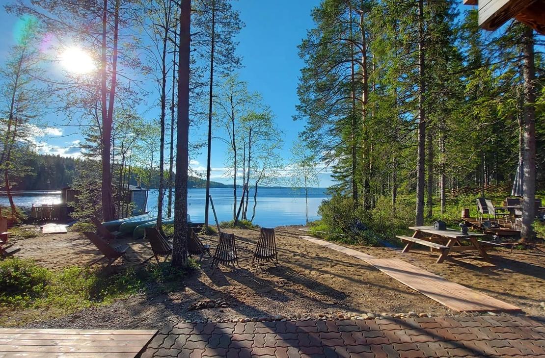 M&auml;ntykankainen ranta