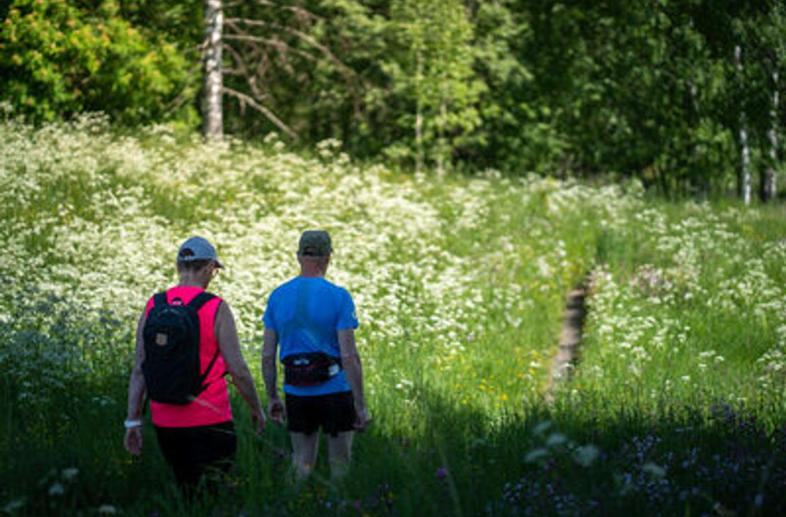 Kaksi retkeilij&auml;&auml; k&auml;velem&auml;ss&auml; valkoisena kukkivan rinteen juurella. 