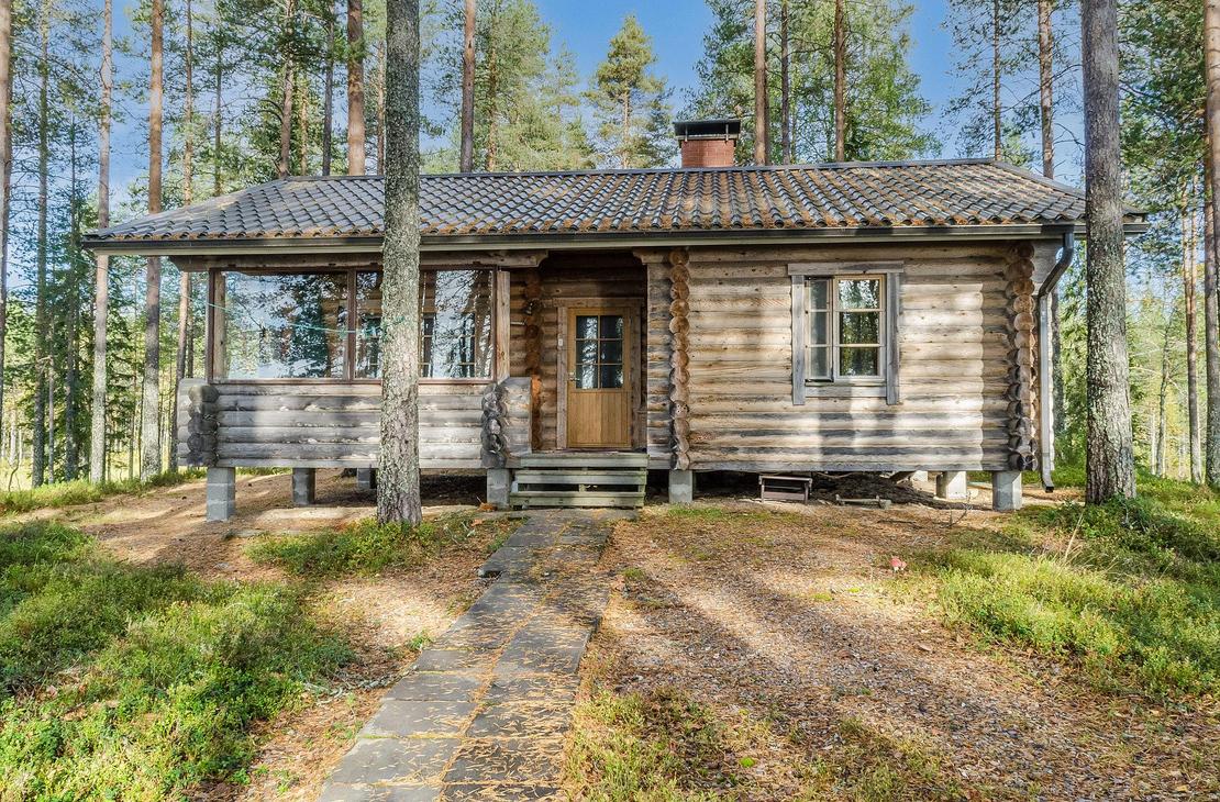 Hirsinen mökki männikössä