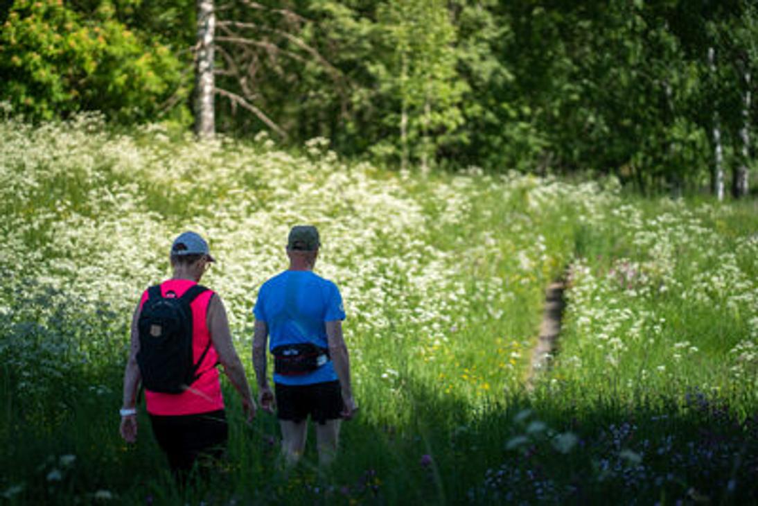 Kaksi retkeilijää kävelemässä valkoisena kukkivan rinteen juurella.