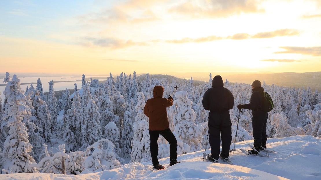Kolme lumikenk&auml;ilij&auml;&auml; katomassa lumista avaraa maisemaa ja auringonlaskun kellert&auml;v&auml;ss&auml; valossa. 