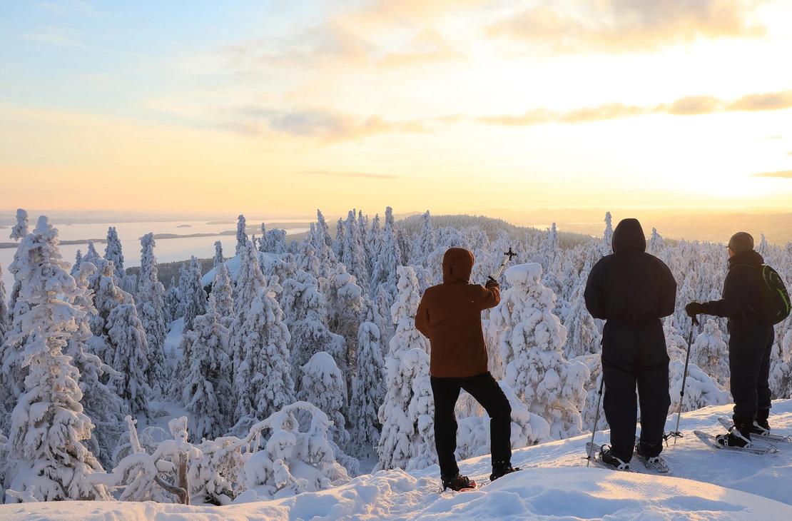 Kolme lumikenk&auml;ilij&auml;&auml; katomassa lumista avaraa maisemaa ja auringonlaskun kellert&auml;v&auml;ss&auml; valossa. 