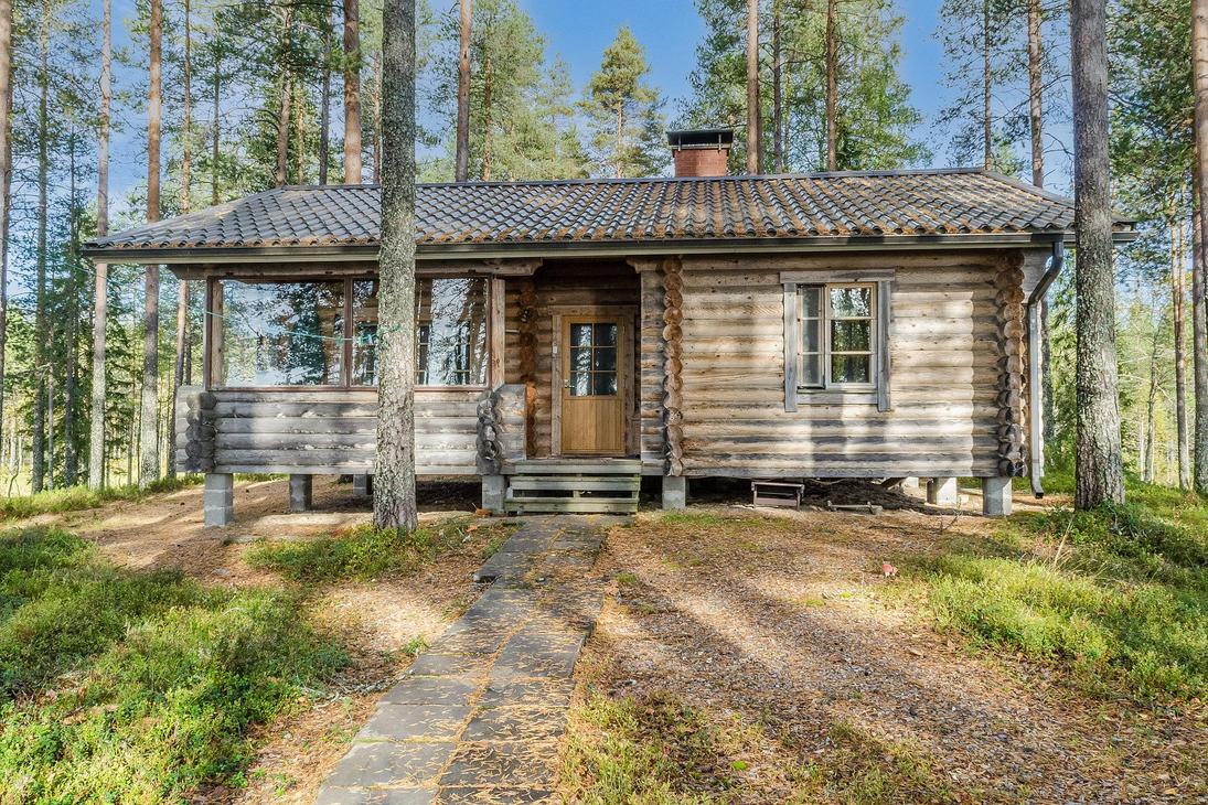 Hirsinen mökki männikössä