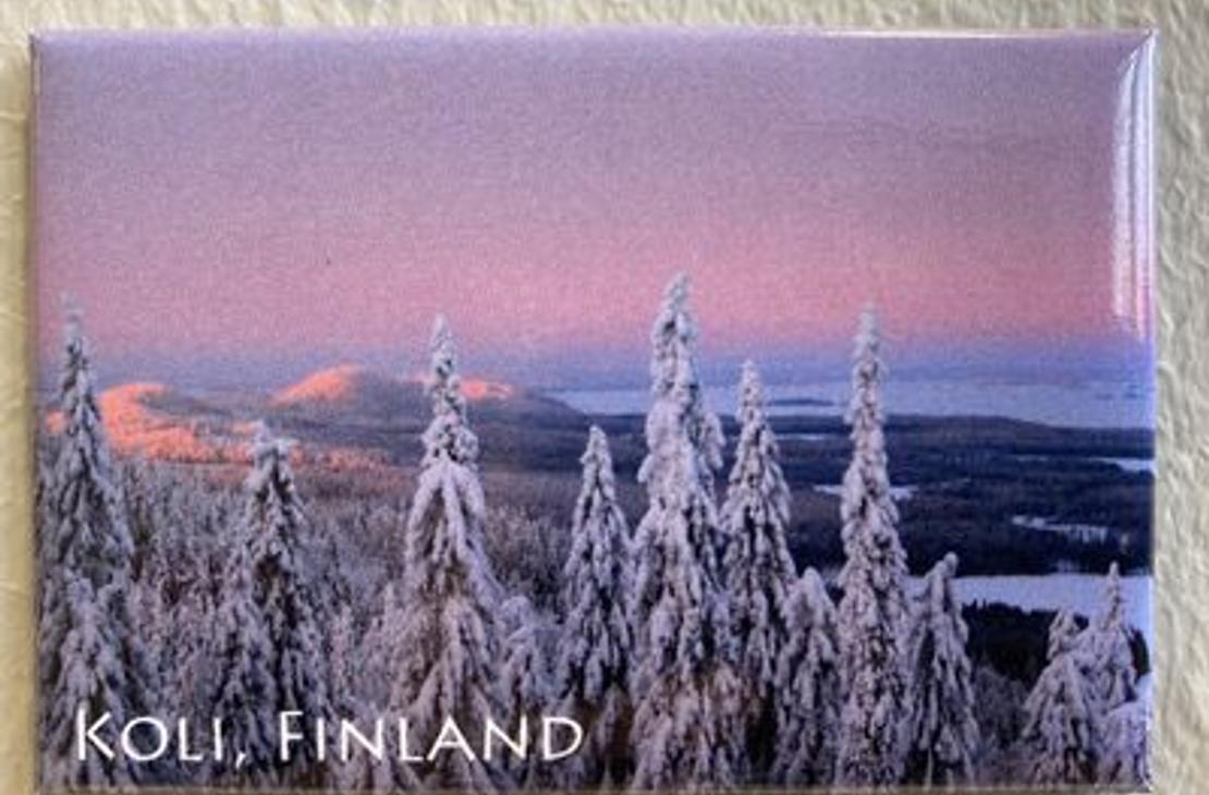 Snow-laden winter landscape in a short, pink mid-winter moment in Koli