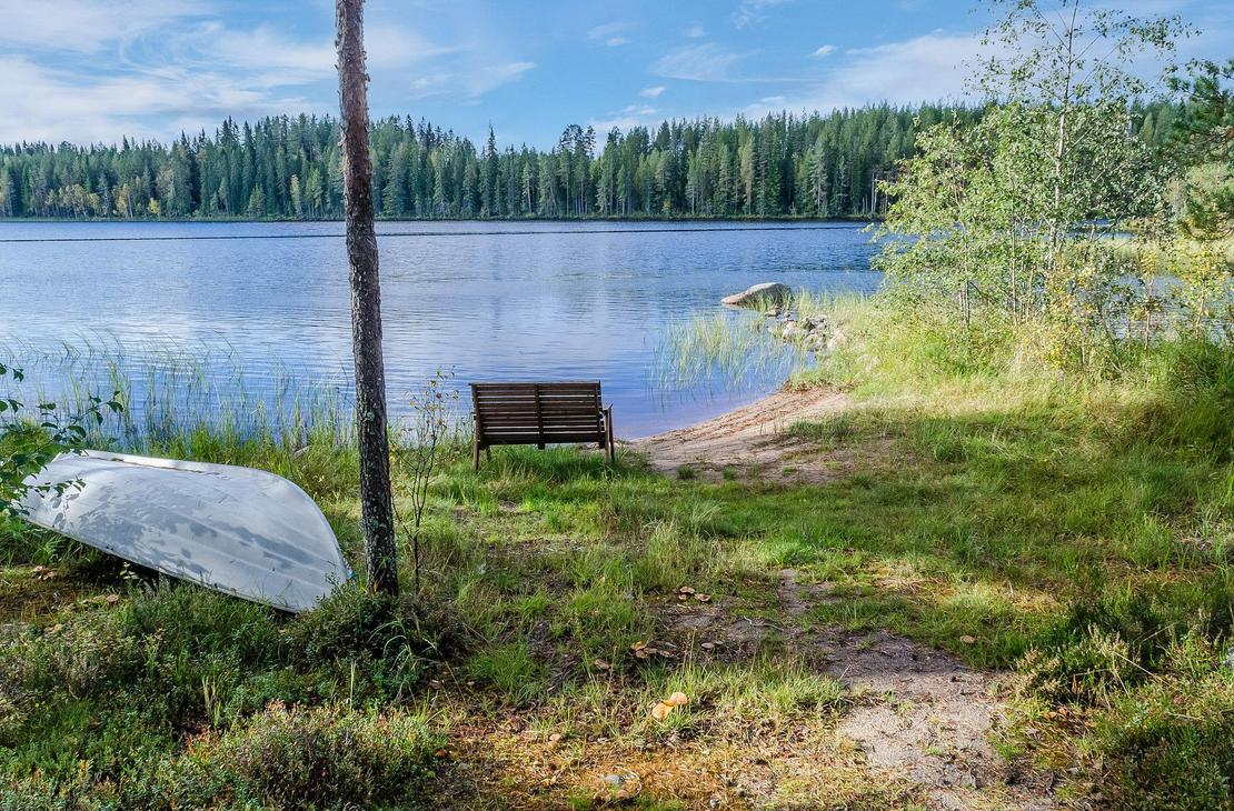 Rantamaisema, jossa heinää, vene ja järvi, taustalla vastarannan metsä
