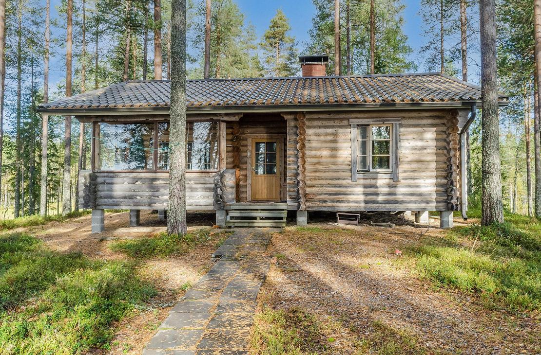 Hirsinen mökki männikössä