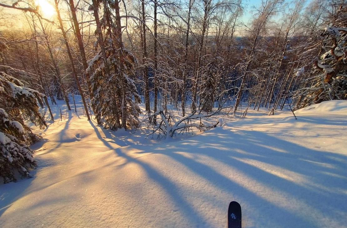 Suksien k&auml;rjet loivan puuterilumisen l&auml;en p&auml;&auml;ll&auml; valmiina laskemaan alas, 