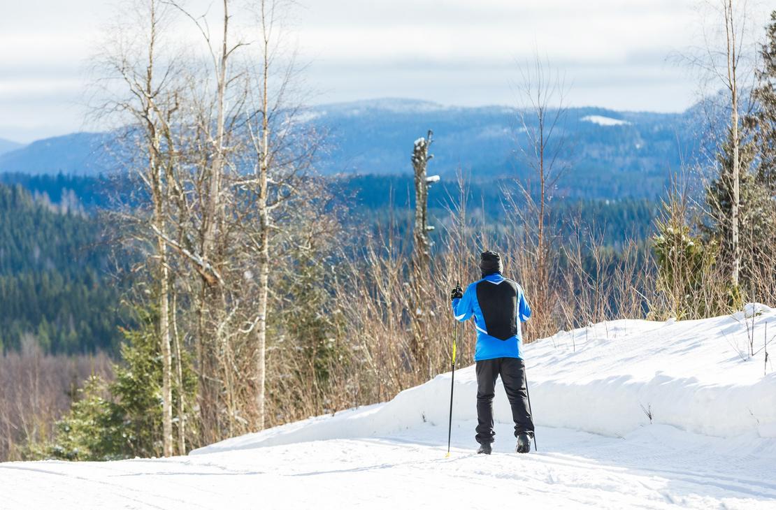 Hiiht&auml;j&auml; vaaramaiseman &auml;&auml;rell&auml;