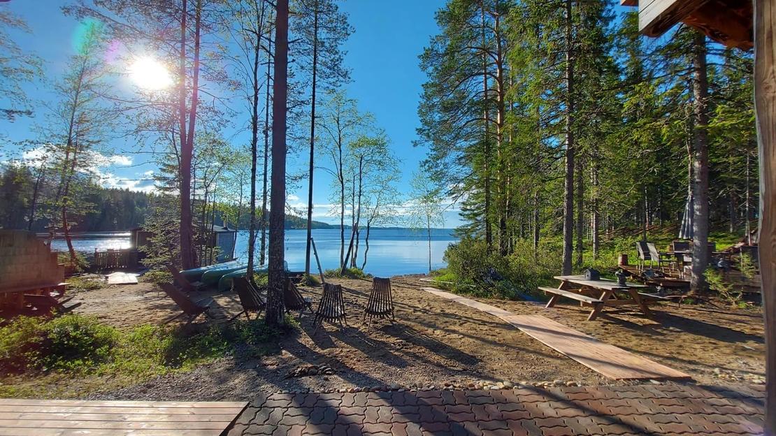 M&auml;ntykankainen ranta